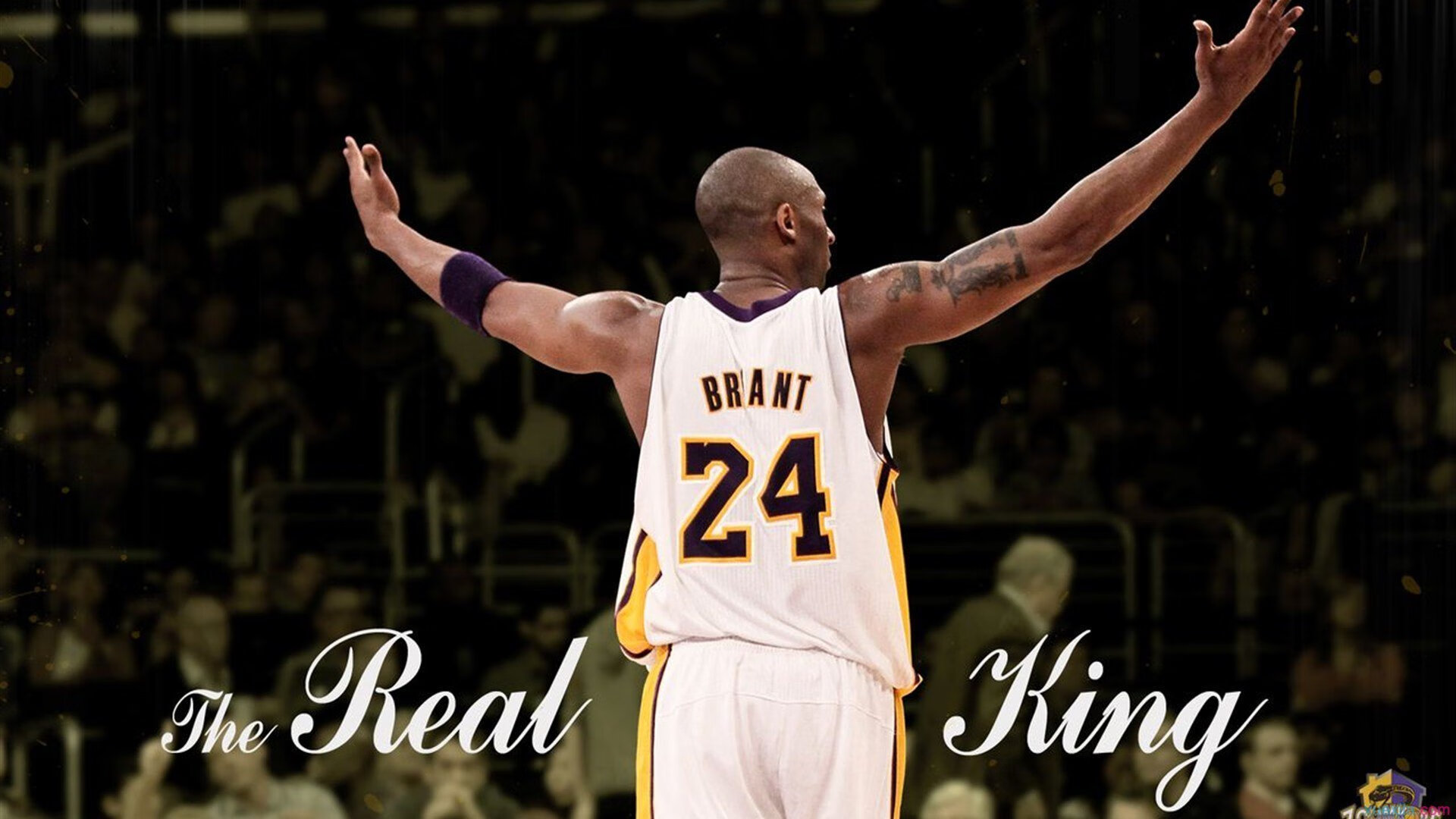 未来之星：新秀投篮精准率持续刷新纪录，未来nba新秀